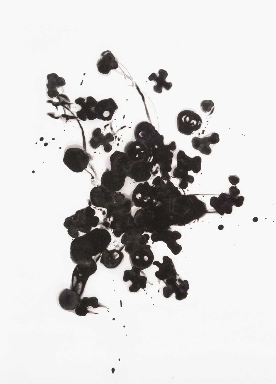 Lot 30 - Cornelia Parker (British 1956-), 'Black Ice', 2021