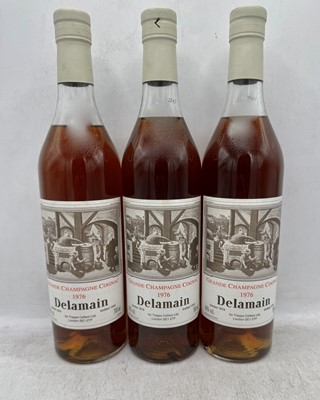 Lot 127 - 6 bottles 1976 Delamain Early Landed Cognac