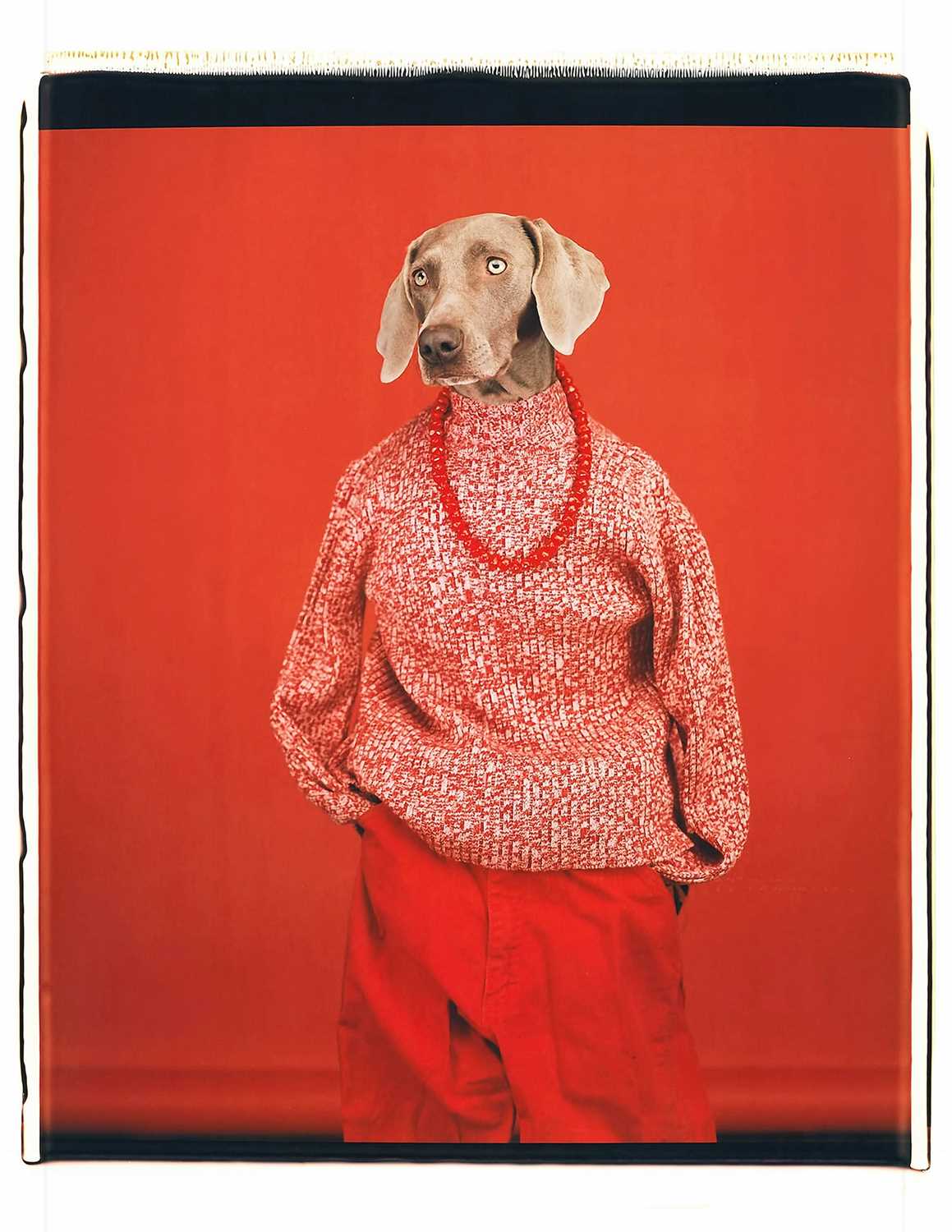 Lot 83 - William Wegman (American 1943-), 'Casual', 2018